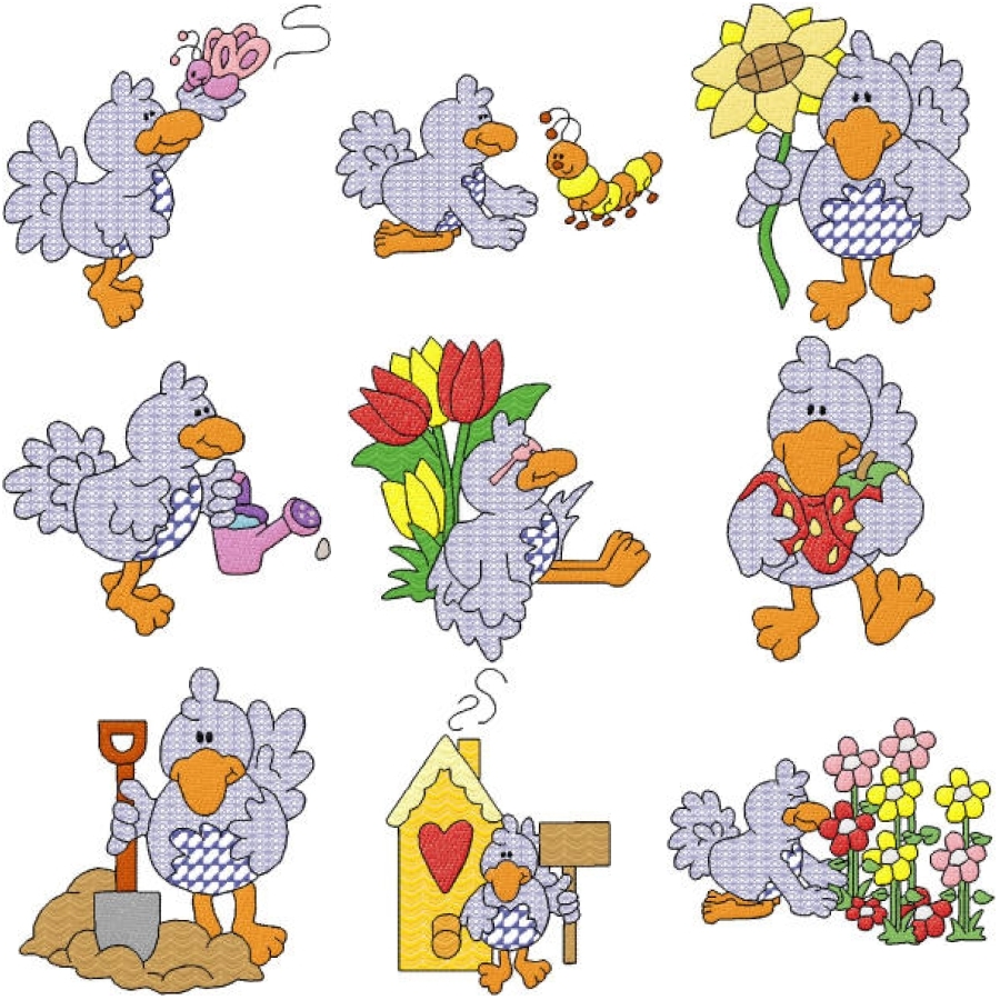 Colour Lace Birds