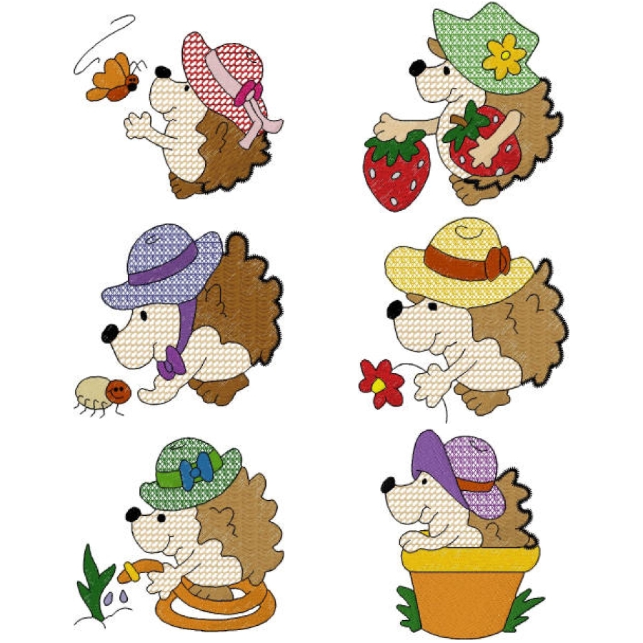 Hedgie Colour Lace
