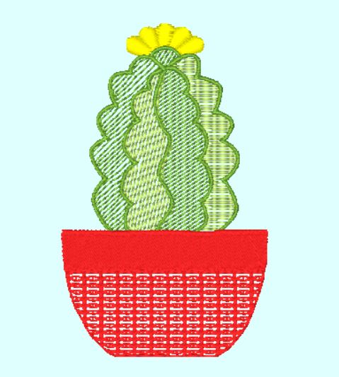 Cactus-7