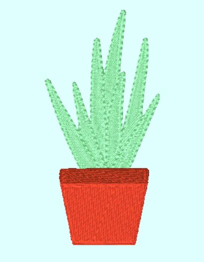 Cactus-10