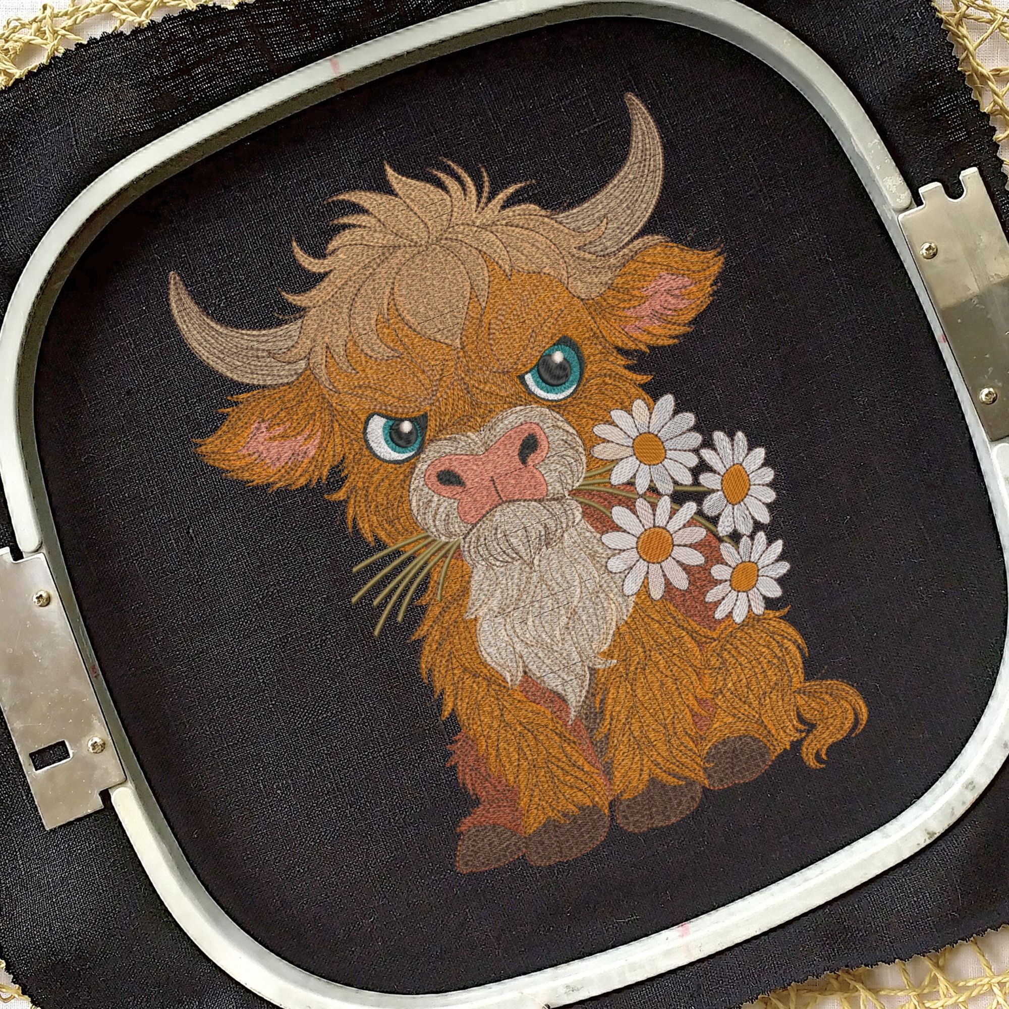 Grumpy Fluffy Highland Cow with Daisies-7