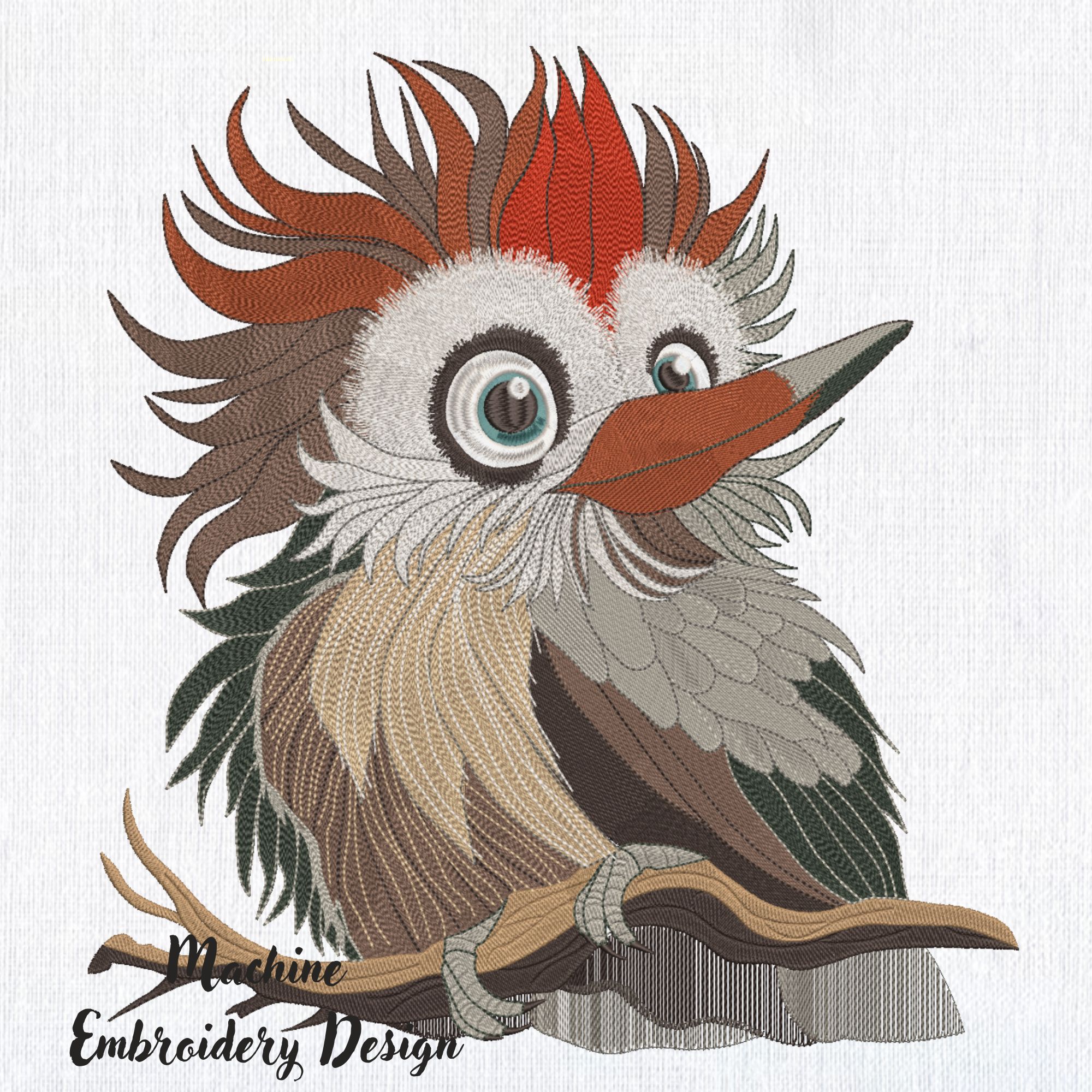 Funny Bird on Branch, Crazy Silly Woodpecker-3