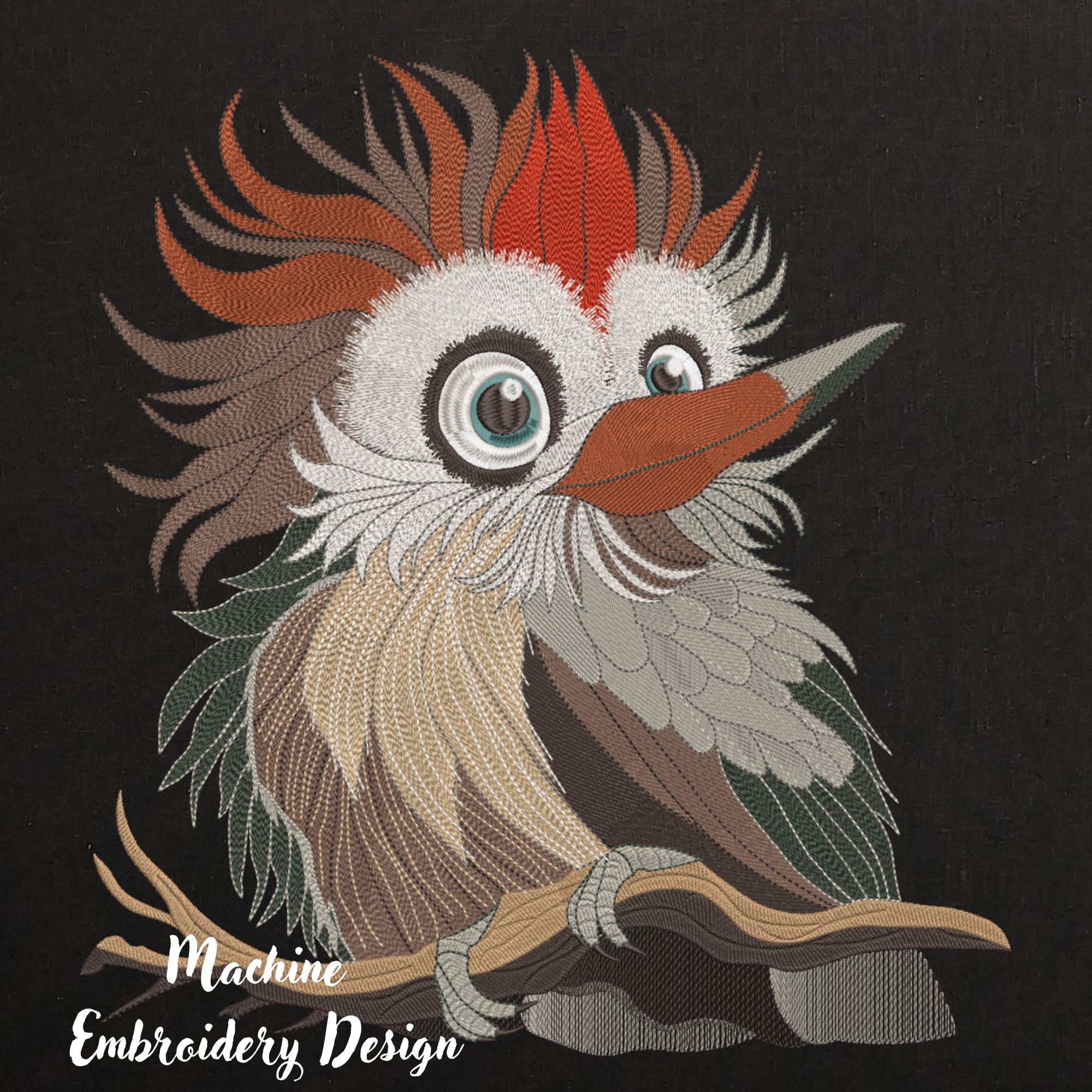 Funny Bird on Branch, Crazy Silly Woodpecker-5
