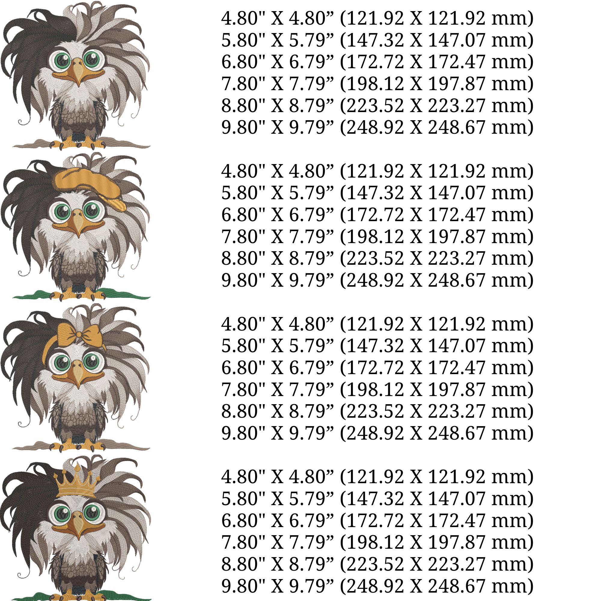 Set of 4 Funny Bald Baby Eagle on Black-5