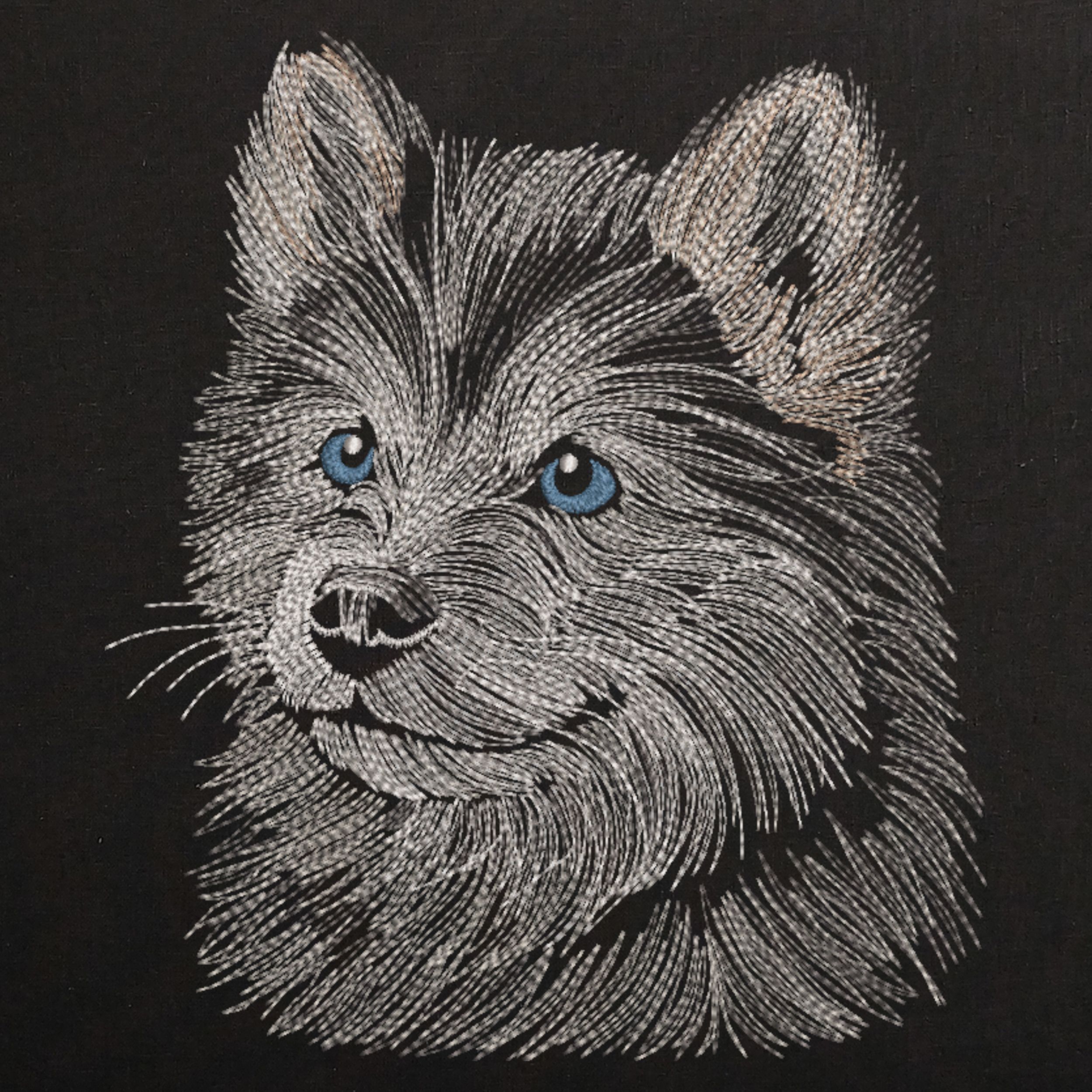 Realistic Face Fluffy Husky Puppy-3