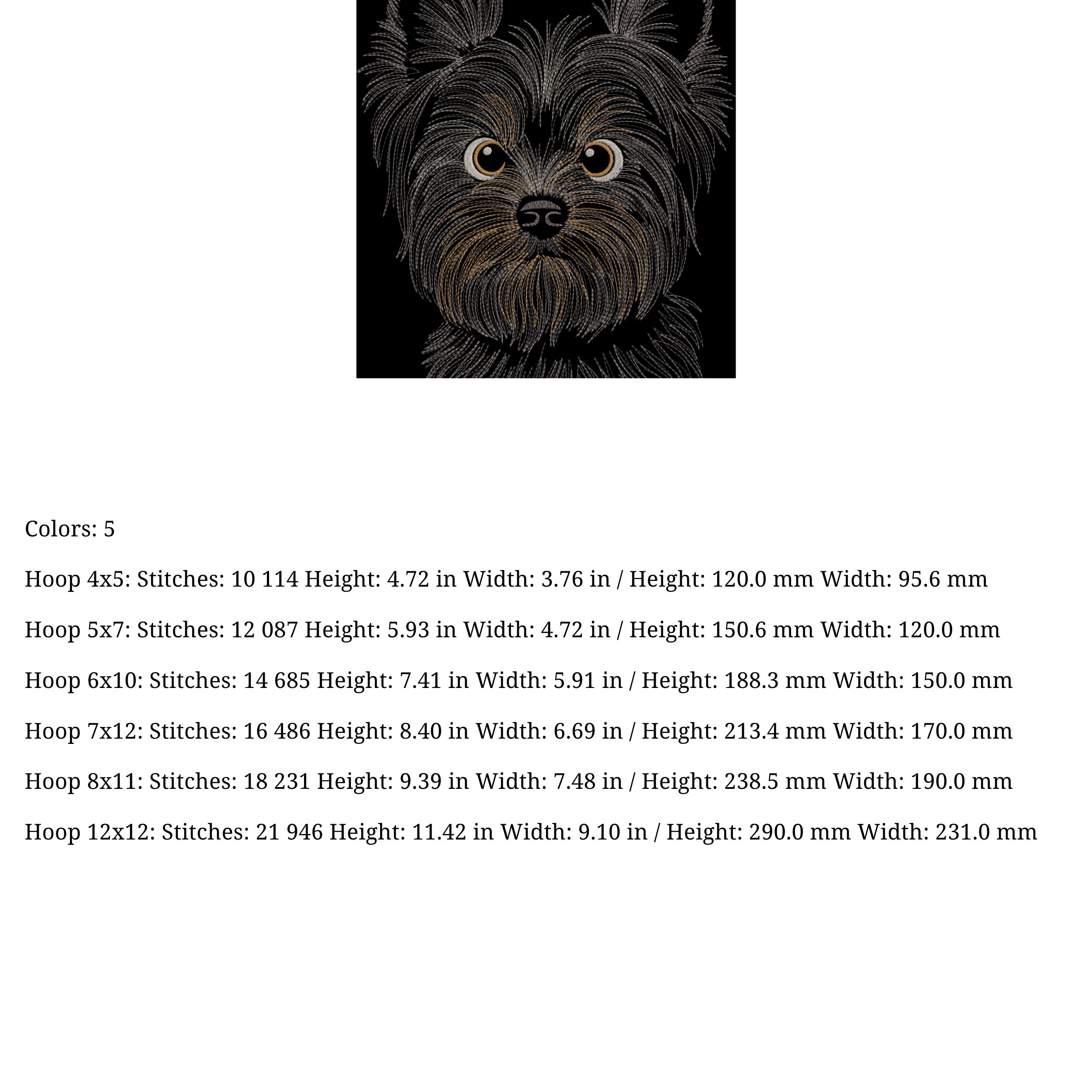 Dog Yorkshire Terrier Head-4