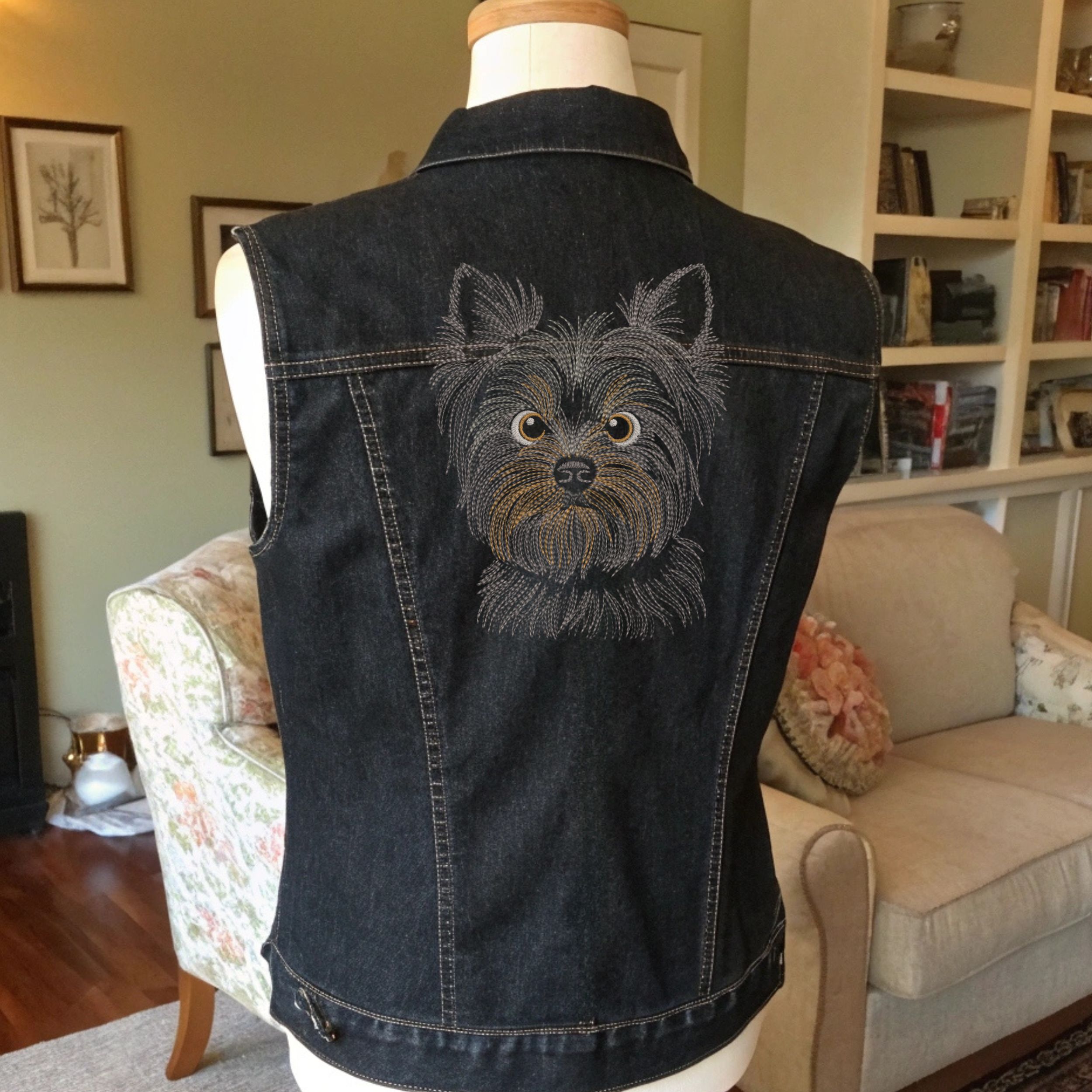 Dog Yorkshire Terrier Head-11