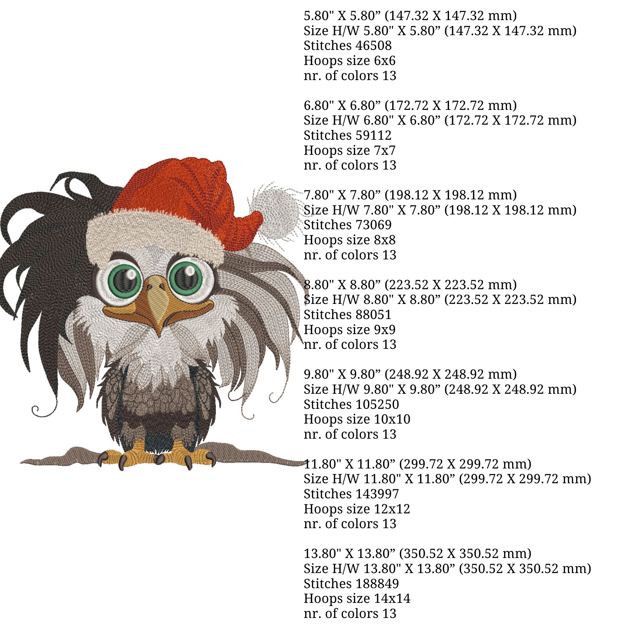 Christmas Eagle in Santa Hat-4