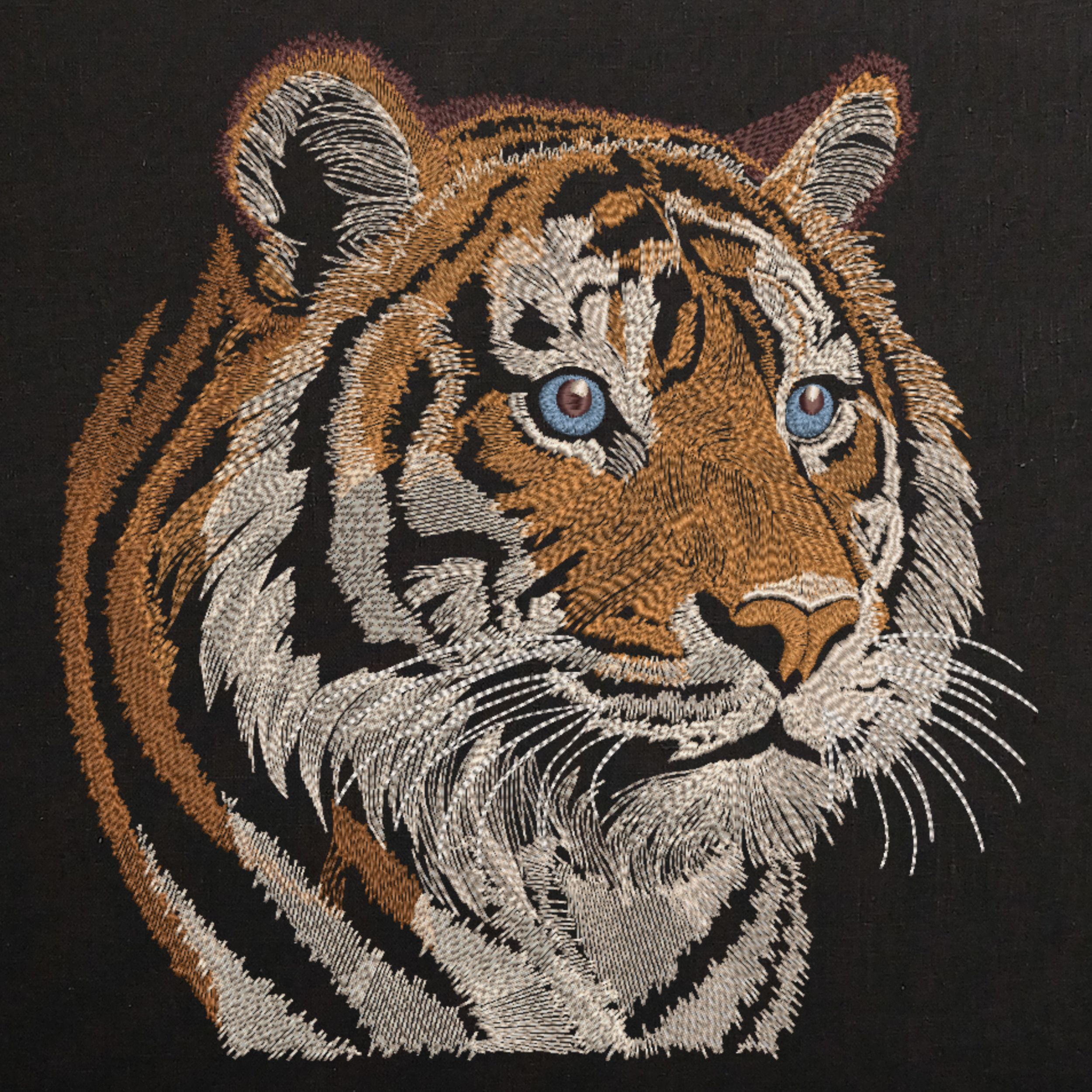 Realistic Tiger Head-9