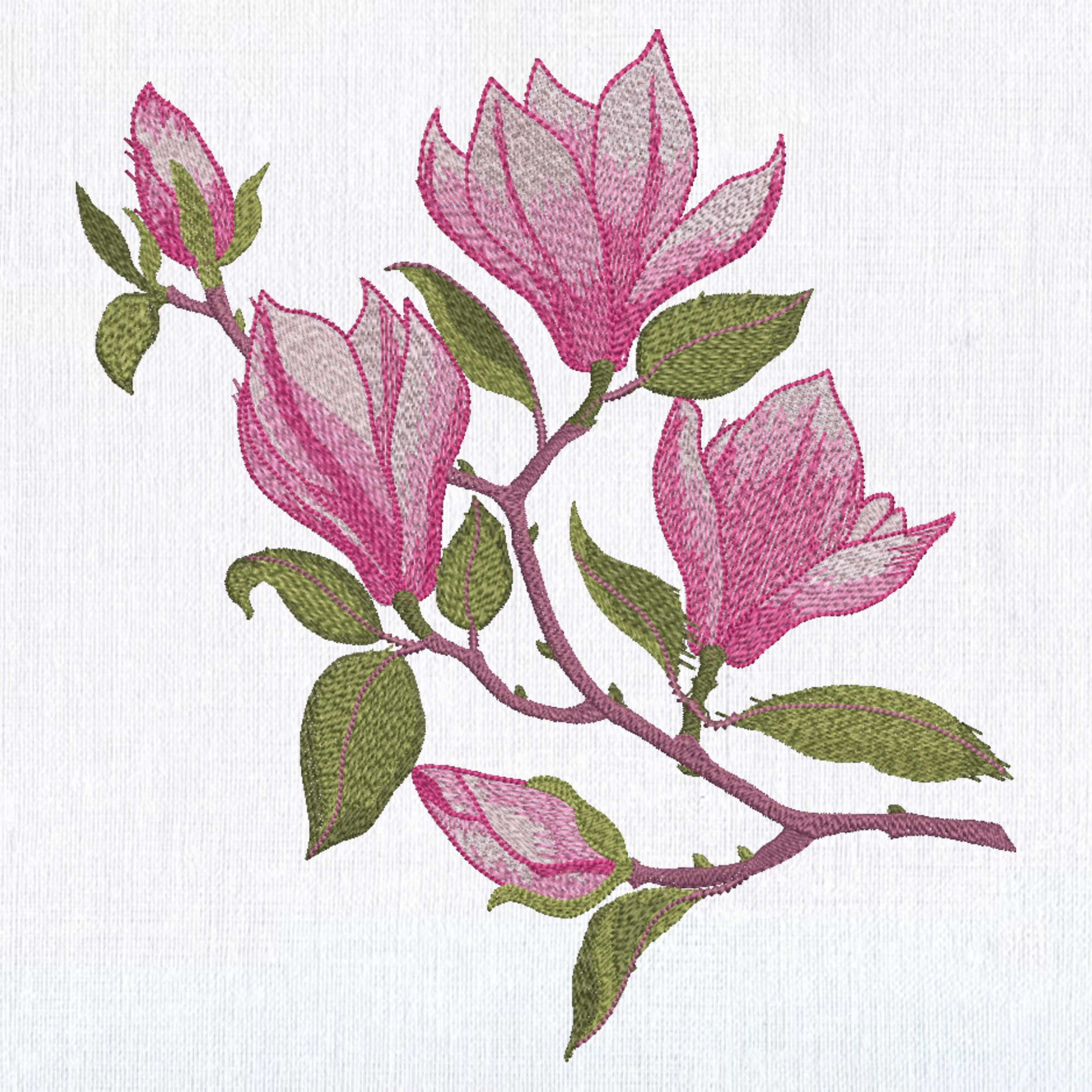 Spring Pink Magnolia Flowers Branch-3