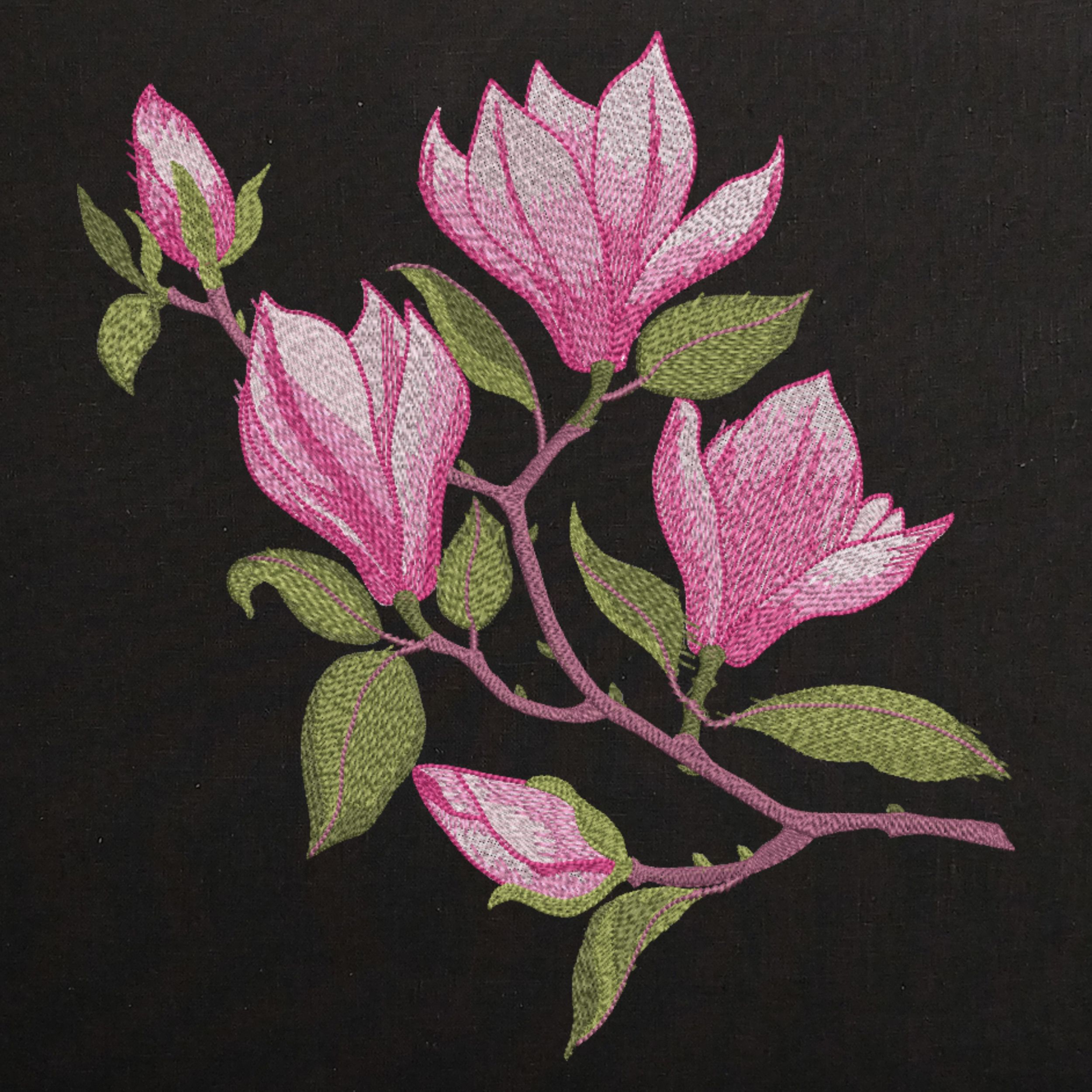 Spring Pink Magnolia Flowers Branch-4