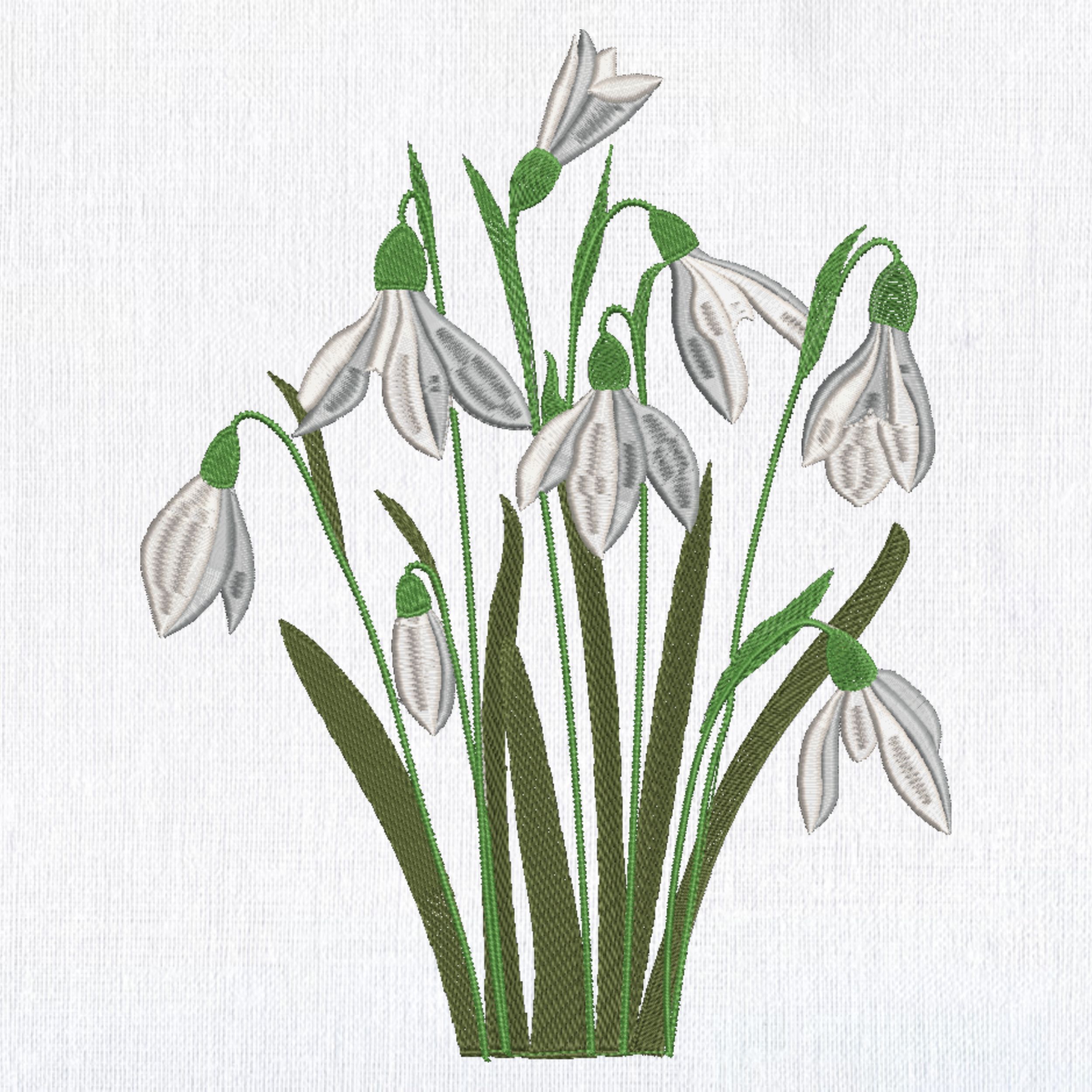 White Flowers Snowdrops-3