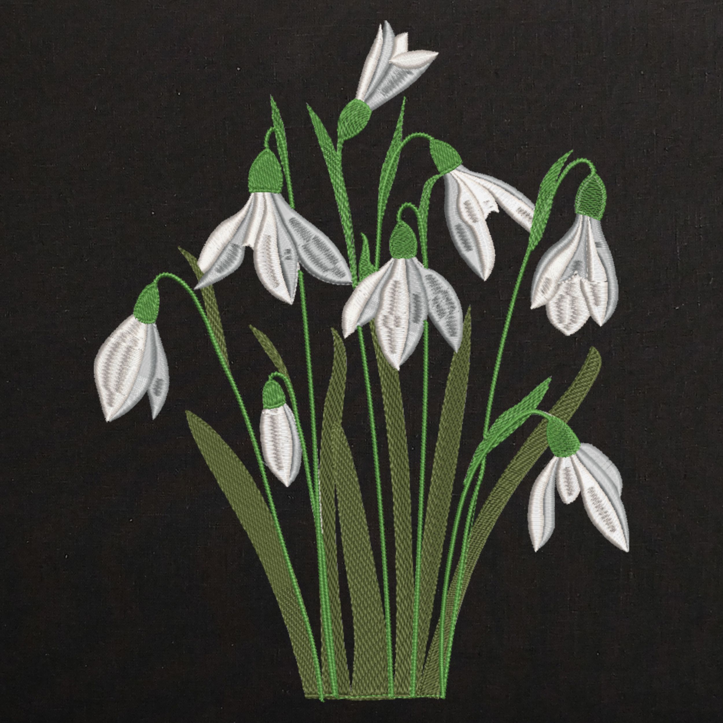 White Flowers Snowdrops-4