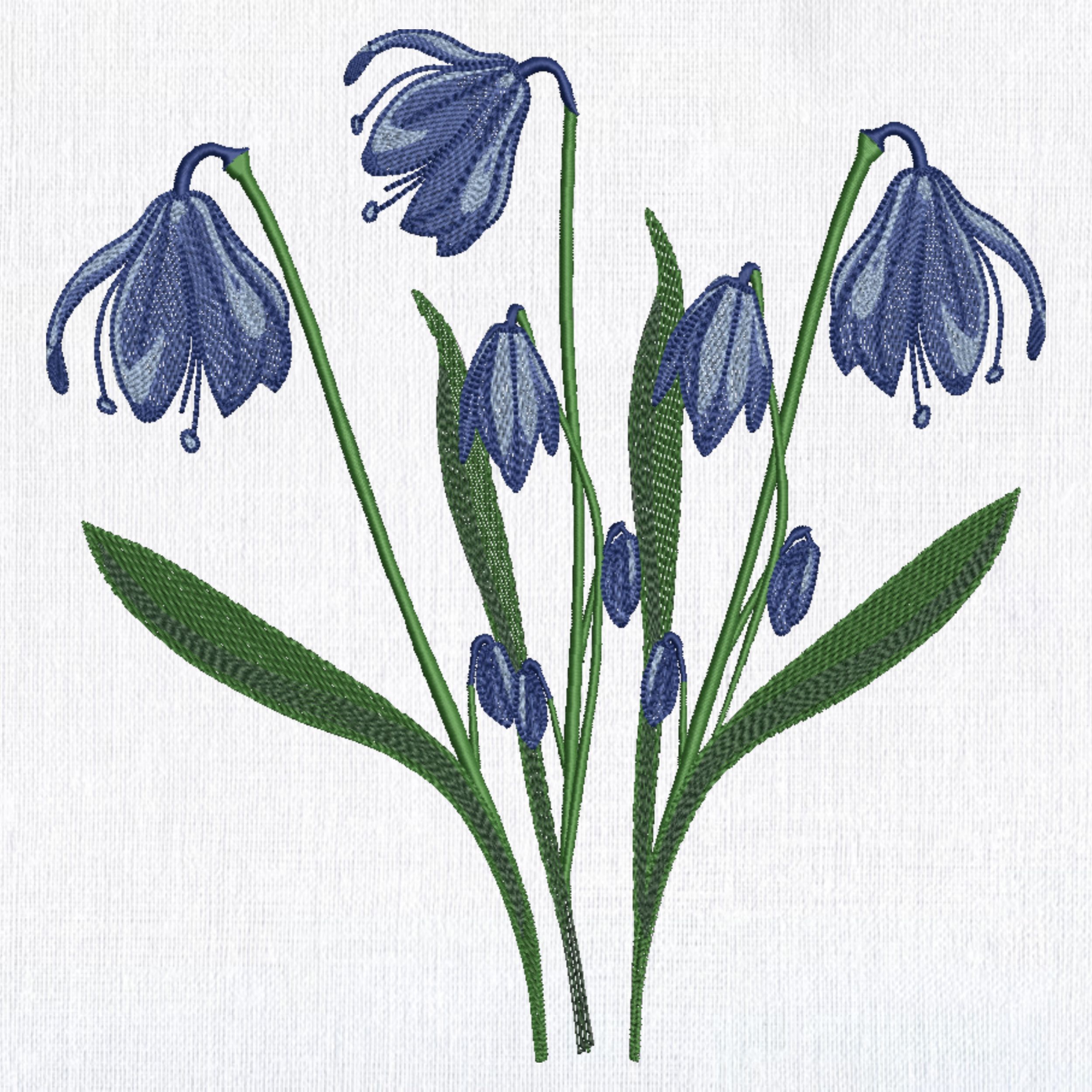 Spring Bluebells Flower-3