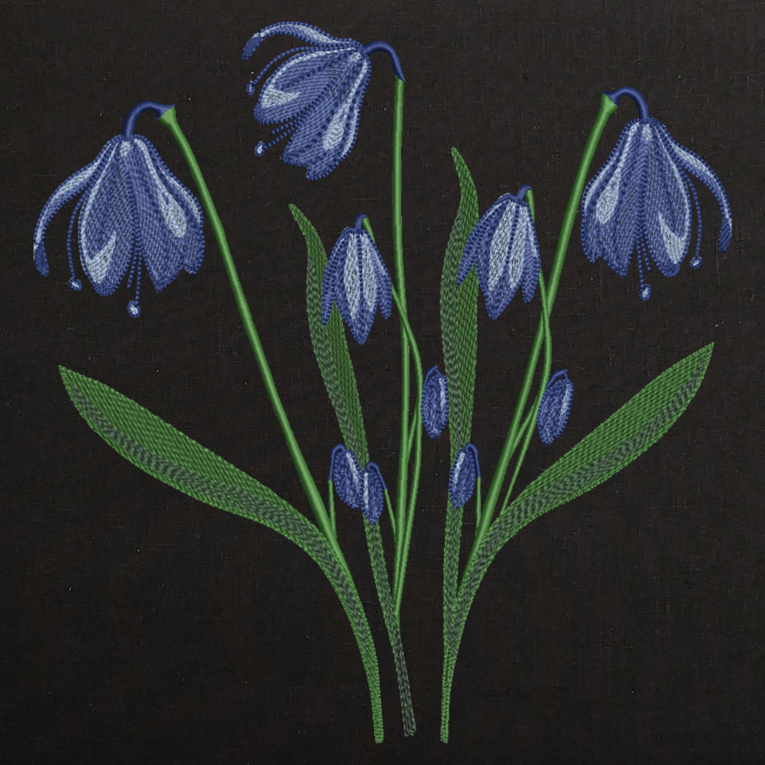 Spring Bluebells Flower-4