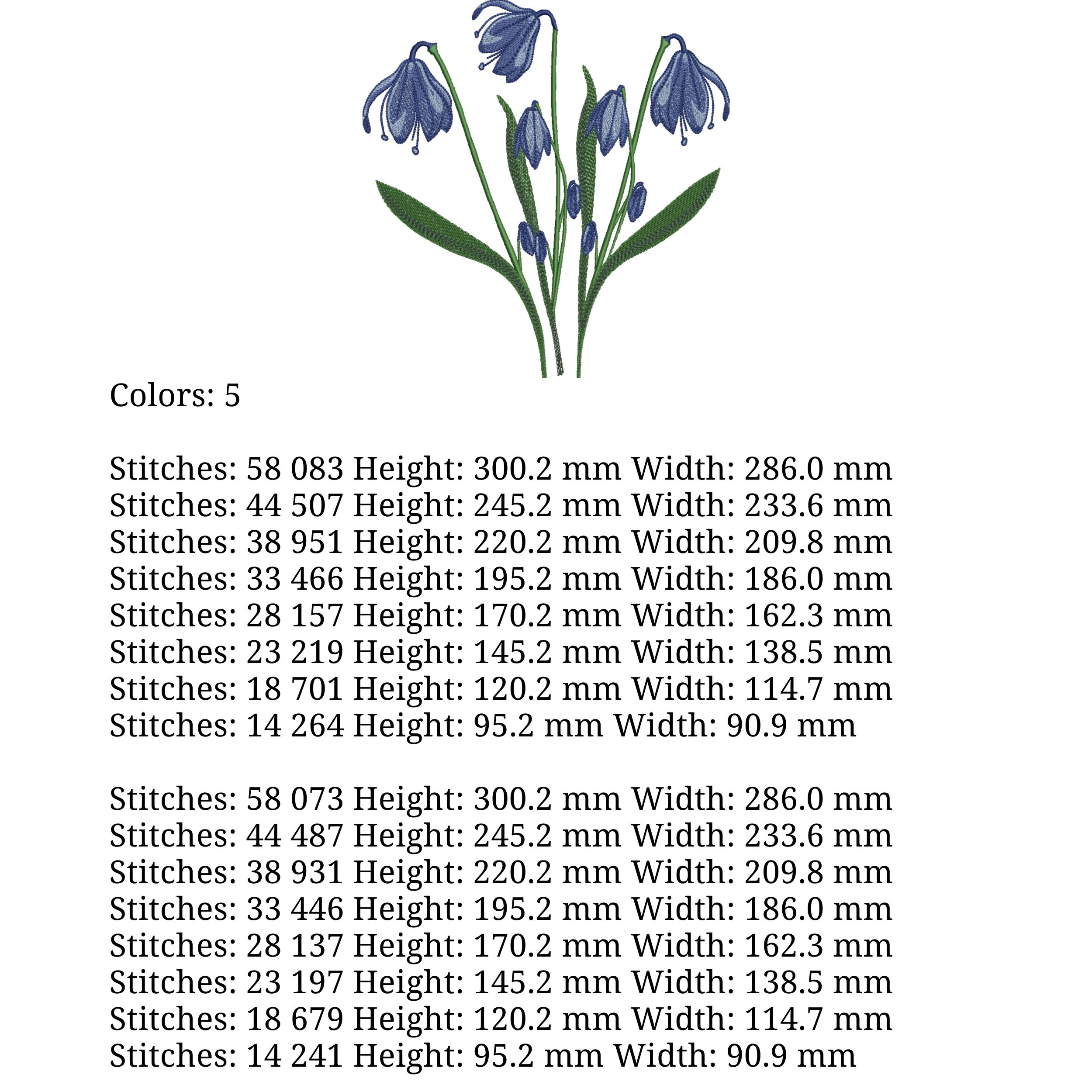 Spring Bluebells Flower-5