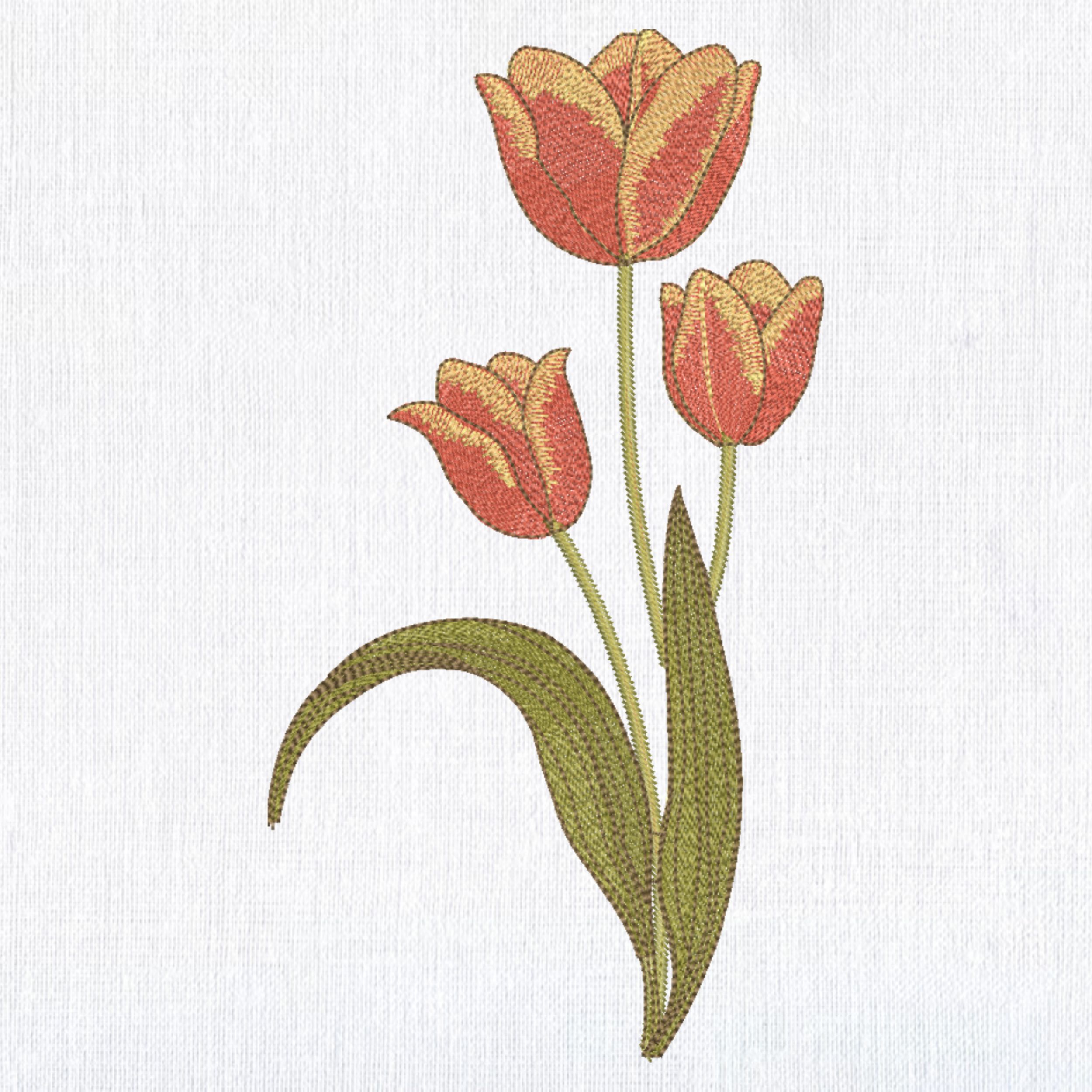 Elegant Spring Three Tulip Flower-3