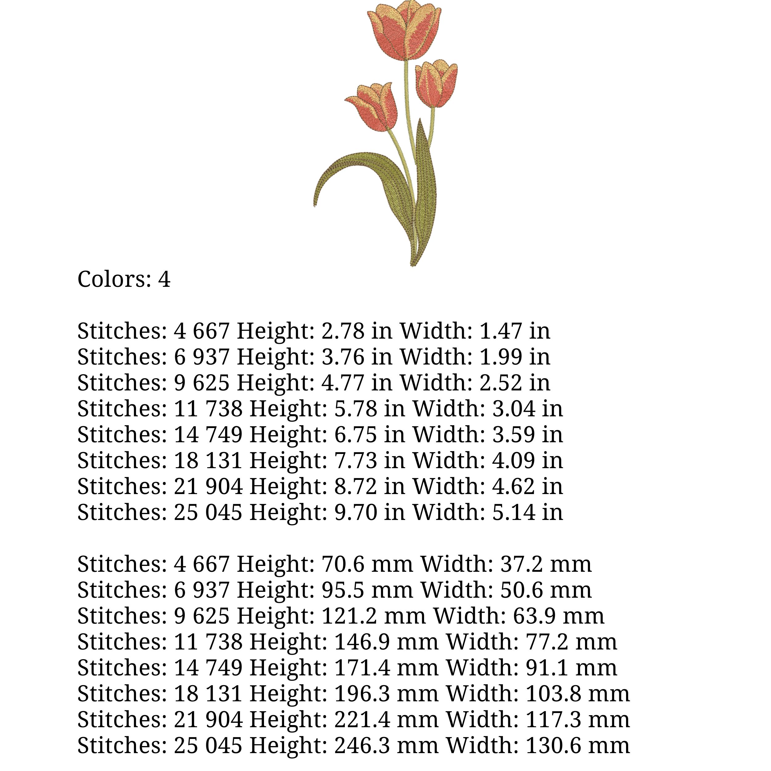 Elegant Spring Three Tulip Flower-5