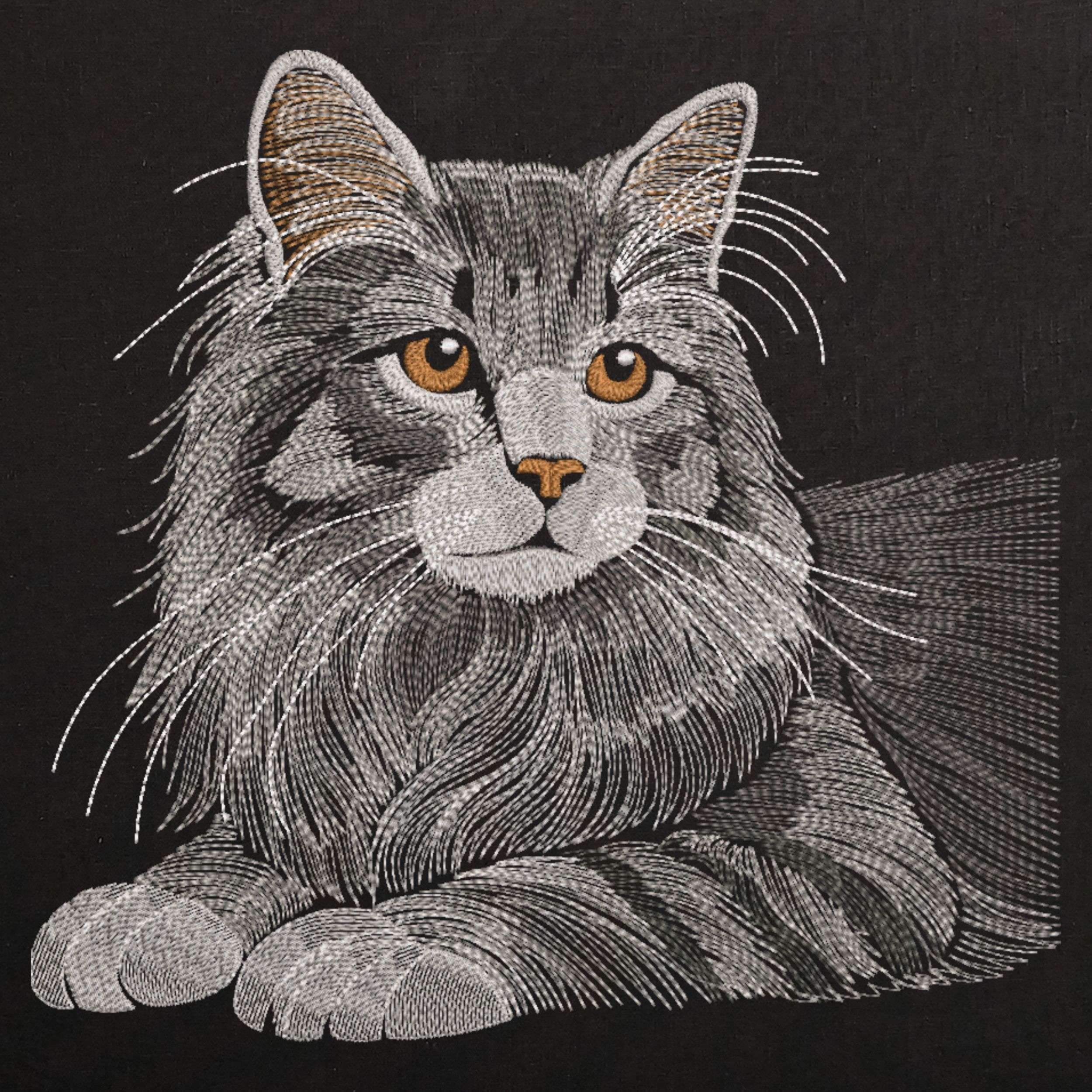 Realistic Long-Haired Fluffy Cat Portrait in Monochrome-3