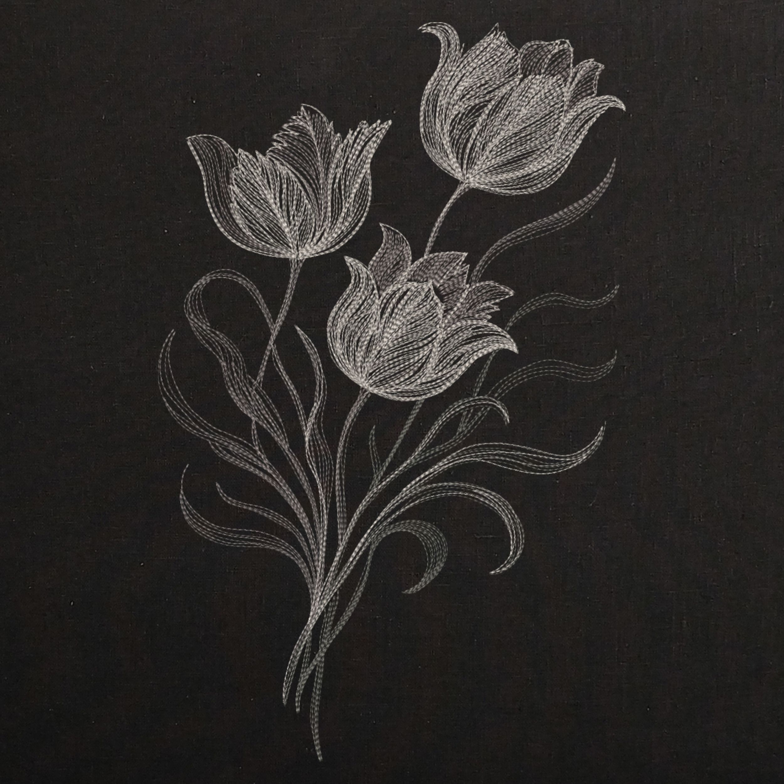 Elegant Tulip Trio Blackwork-10