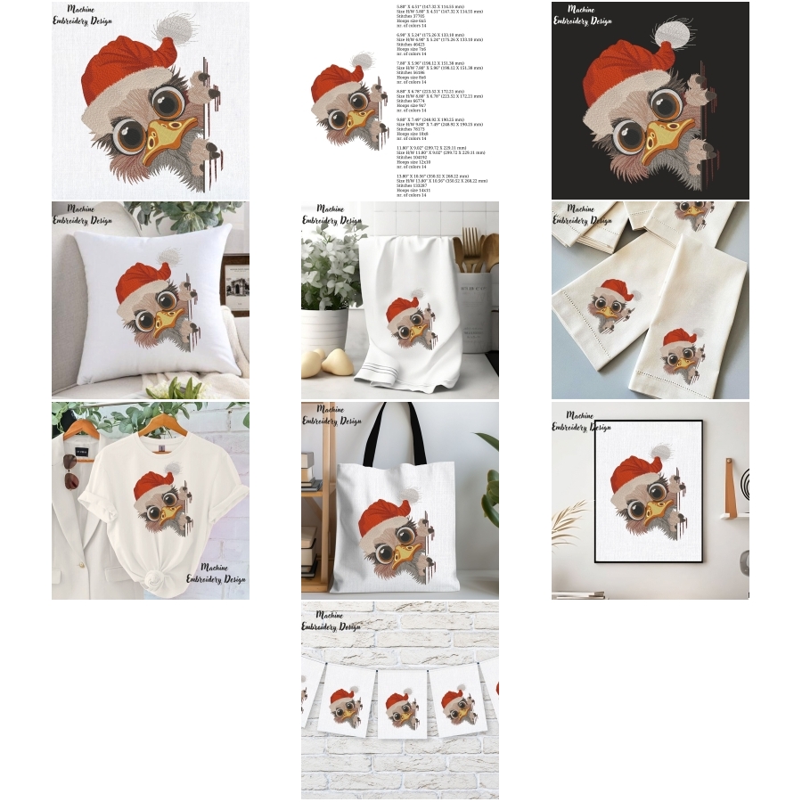 Christmas ostrich with Santa Hat