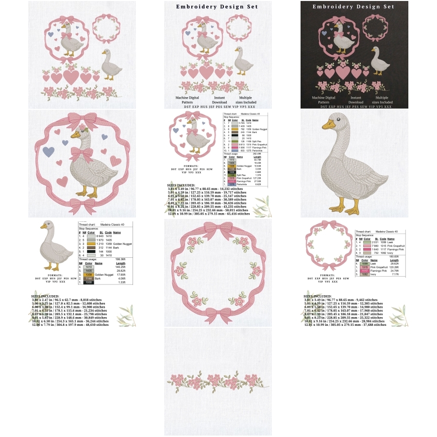 Goose Hearts Floral Frame Baby Valentine SET