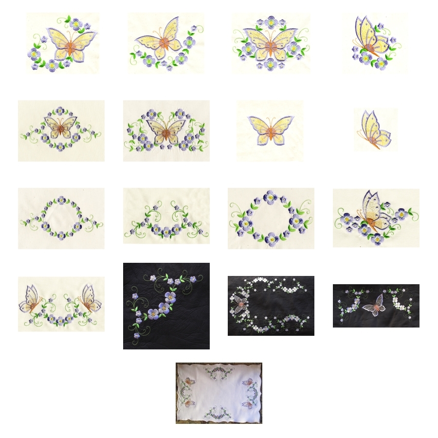 BUTTERFLY BLOOMS