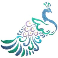 Peacock 1 