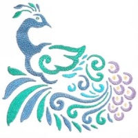 Peacock 2 