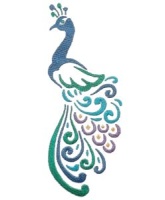 Peacock 4 