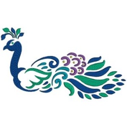  Peacock 4 
