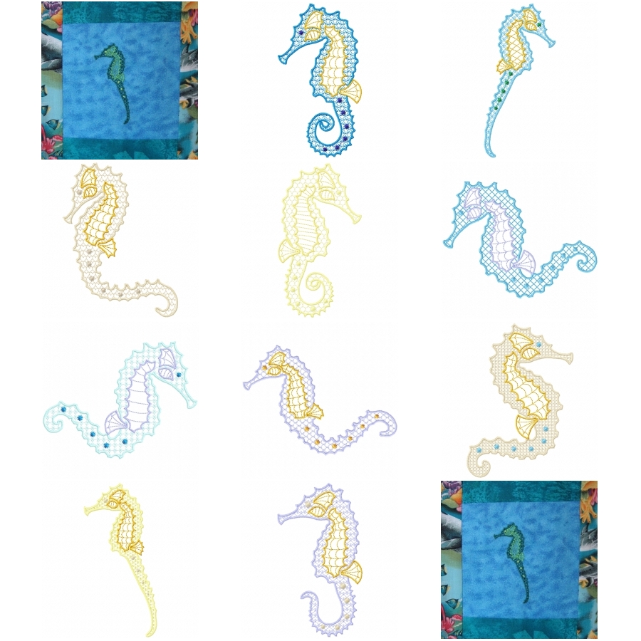 Declicate Seahorses