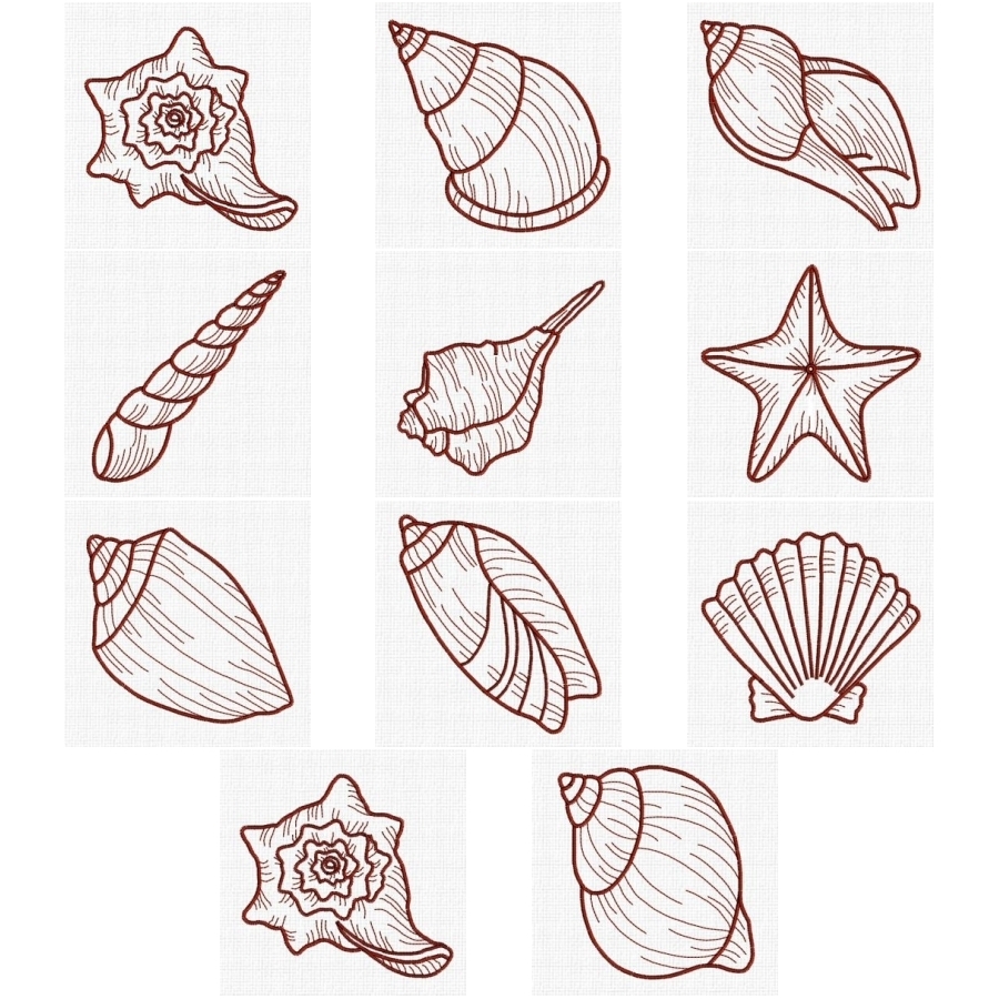 RW Sea Shells 