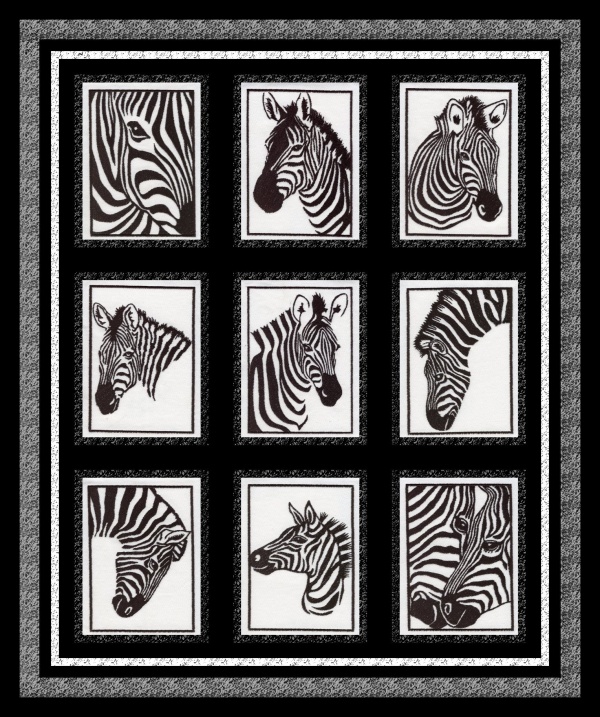 5x7 Zebra Stencils -4