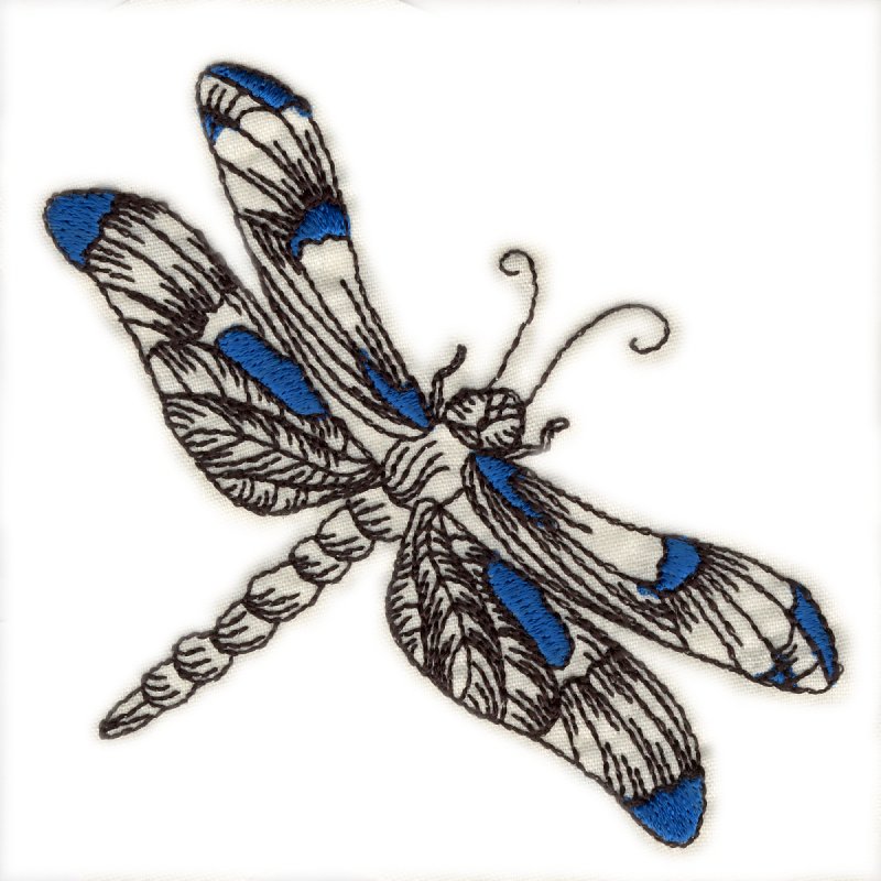 Dragonflies-3