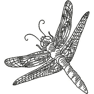 Dragonflies-10