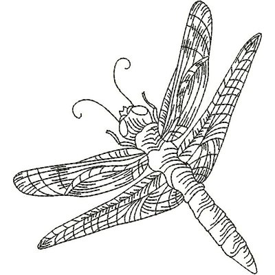 Dragonflies-11