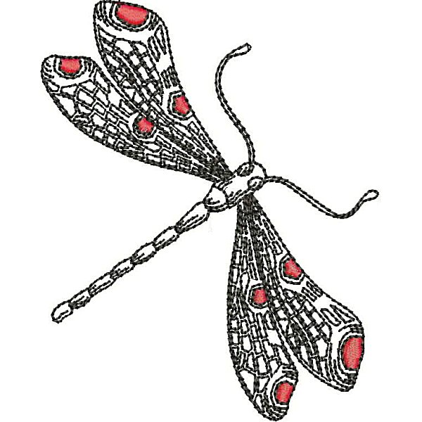 Dragonflies-12