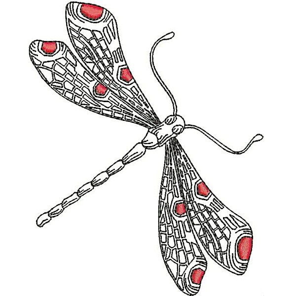 Dragonflies-13