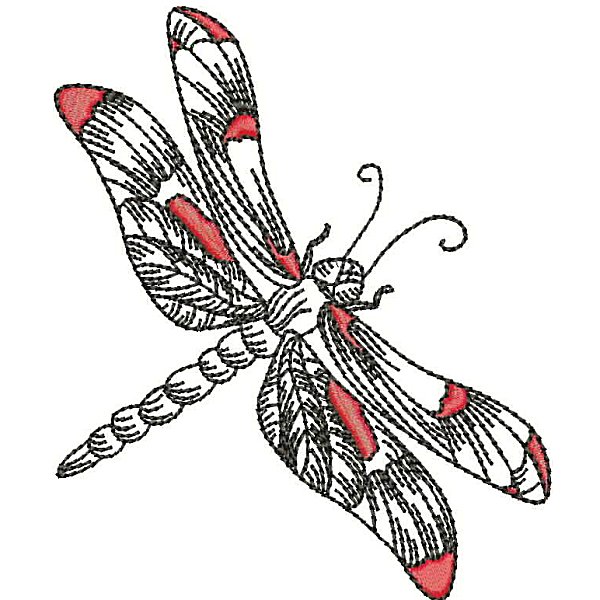 Dragonflies-14