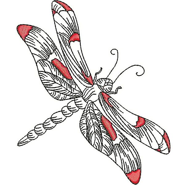 Dragonflies-15
