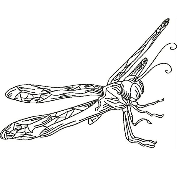 Dragonflies-17