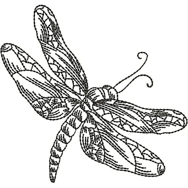 Dragonflies-18
