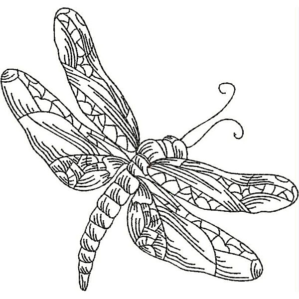 Dragonflies-19