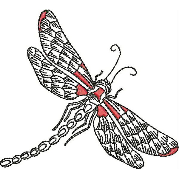 Dragonflies-20
