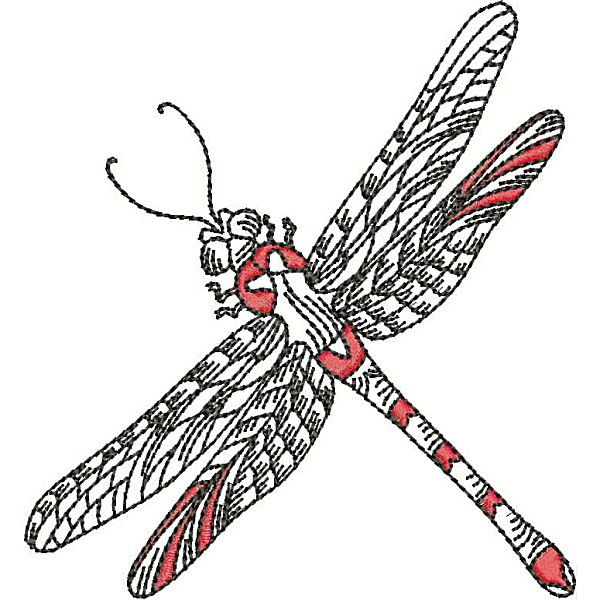 Dragonflies-22