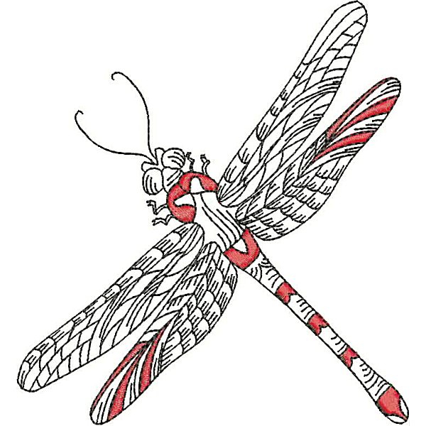 Dragonflies-23