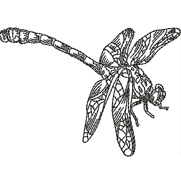 Dragonflies-24