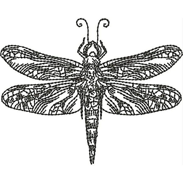 Dragonflies-26