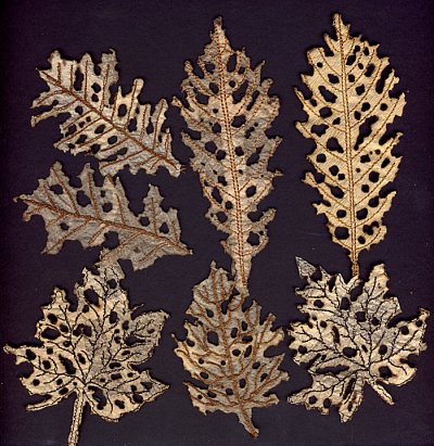 5x7 Mixed Media Leaves-13